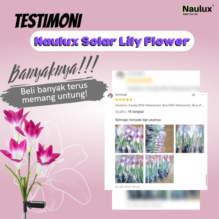 Testimoni-lampu-solar-lily-10.png